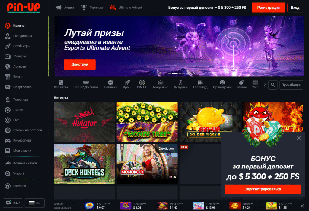 Pin Up — Верификация